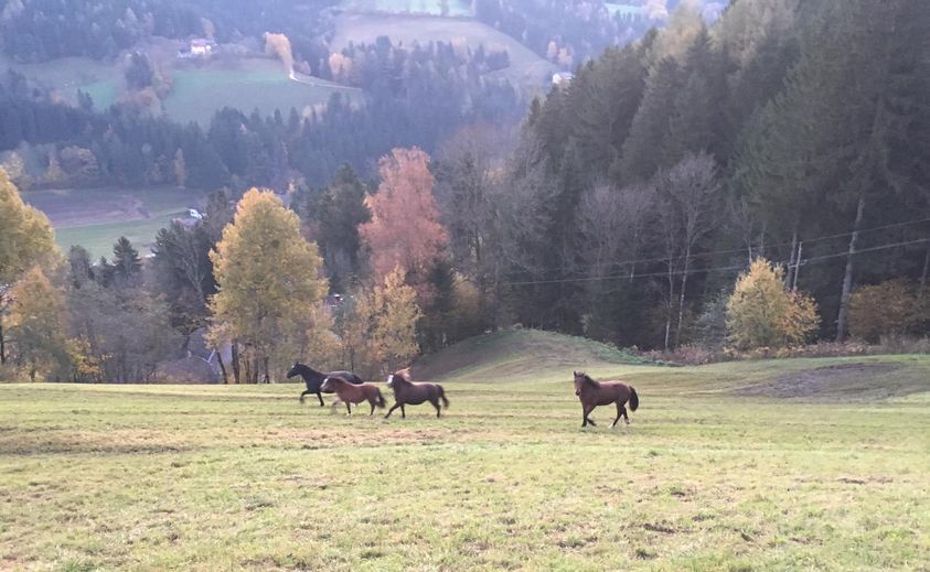 Vier magische Worte